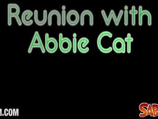 Reunion dengan abbie kucing dalam yang pov menimbulkan